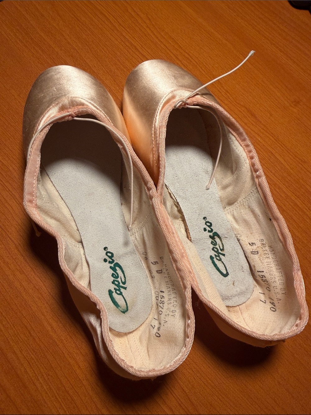 Capezio Prelude Pointe Shoes 5D